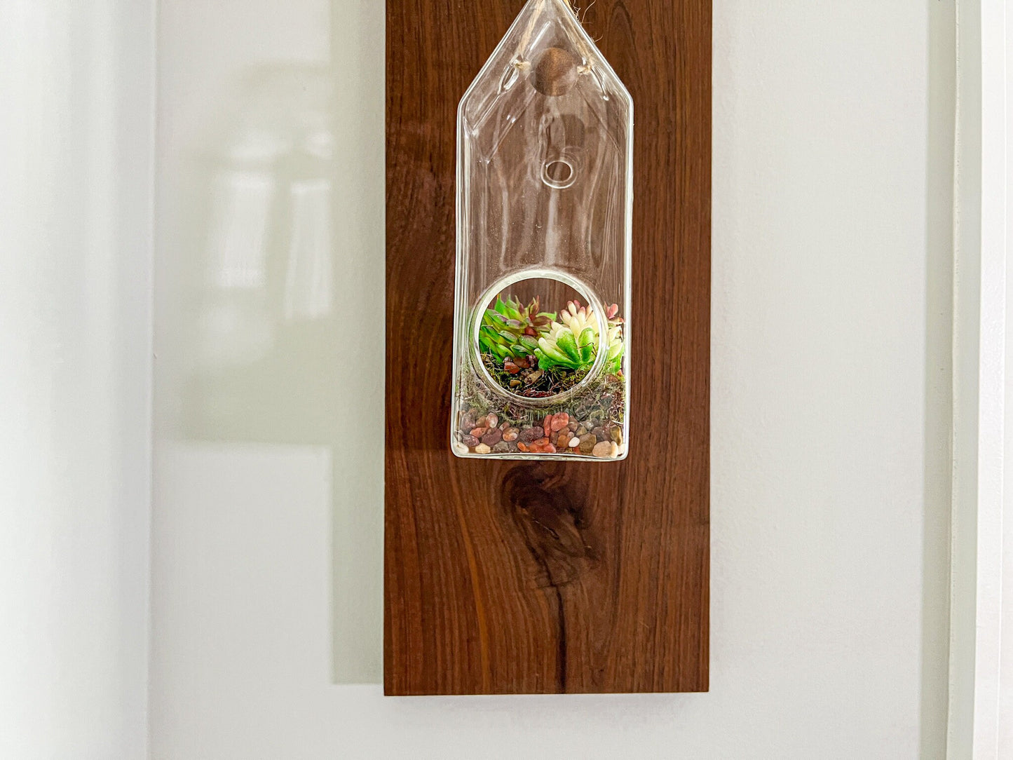 Indoor Hanging Planter – Hanging Terrarium – Glass Planter Kit – Succulent Plant Holder – Housewarming Gift – 55 Colors – Terrarium Kit