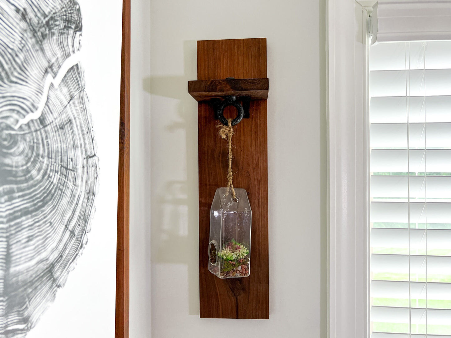 Indoor Hanging Planter – Hanging Terrarium – Glass Planter Kit – Succulent Plant Holder – Housewarming Gift – 55 Colors – Terrarium Kit