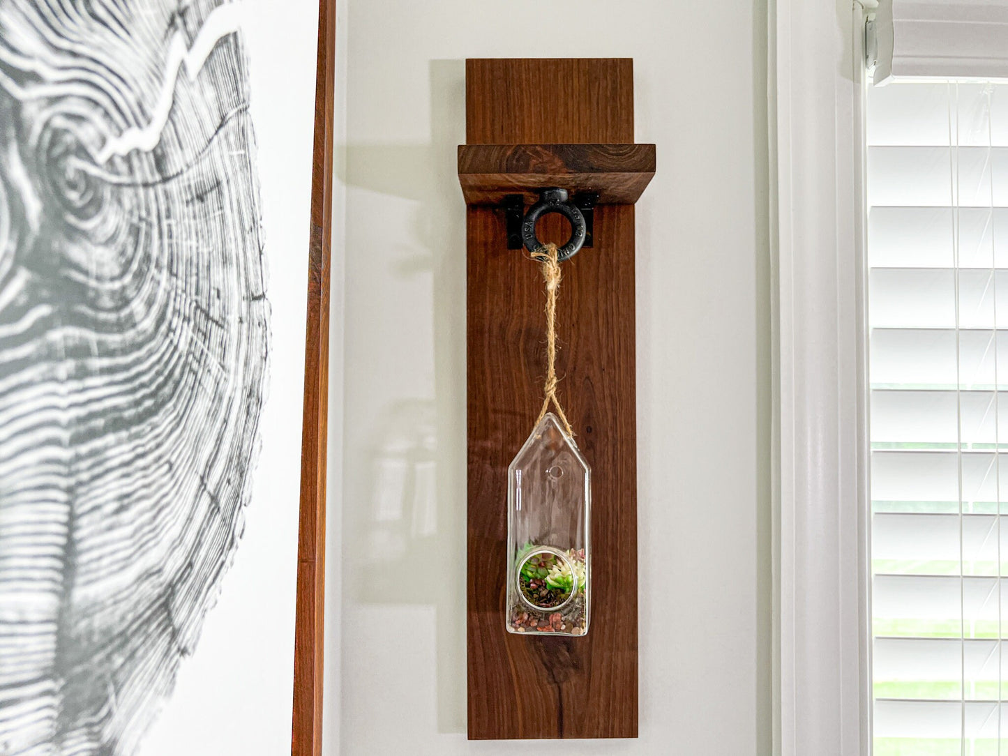 Indoor Hanging Planter – Hanging Terrarium – Glass Planter Kit – Succulent Plant Holder – Housewarming Gift – 55 Colors – Terrarium Kit