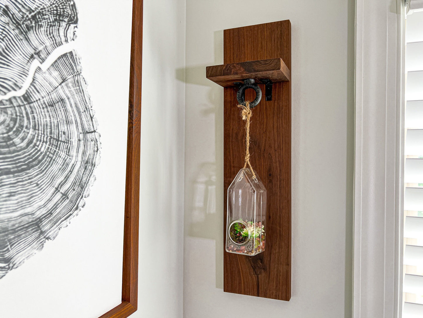 Indoor Hanging Planter – Hanging Terrarium – Glass Planter Kit – Succulent Plant Holder – Housewarming Gift – 55 Colors – Terrarium Kit