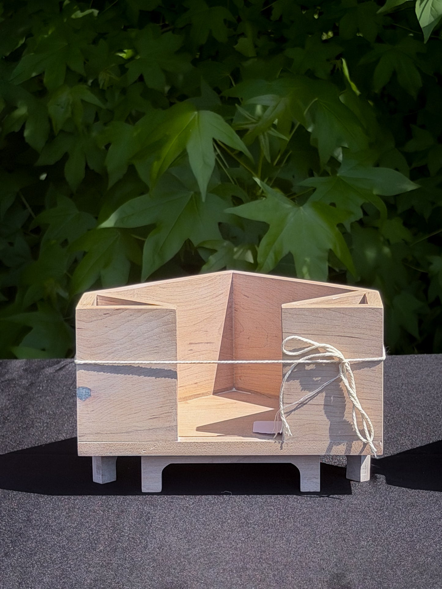 Wood Cocktail Napkin Holders — Walnut and Hard Maple — Ships Now