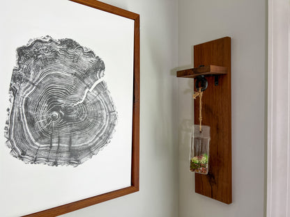 Wood Hanging Succulent Holder — In Stock, Ships Now