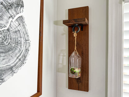 Wood Hanging Succulent Holder — In Stock, Ships Now