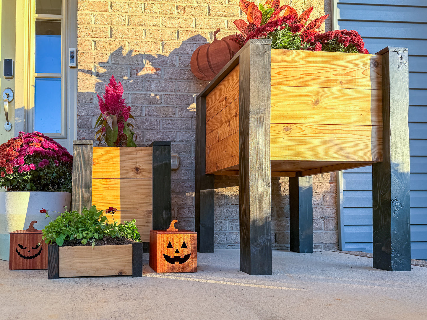 Mahogany and Cedar Jack-O-Lantern Boxes – Premium Indoor and Outdoor Halloween Decorations