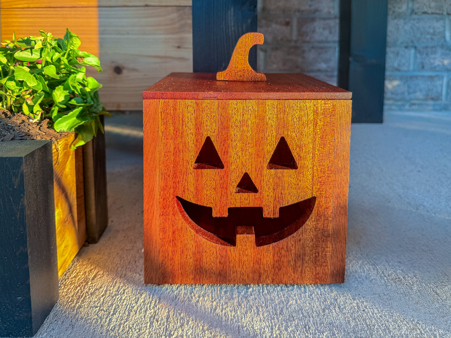 Mahogany and Cedar Jack-O-Lantern Boxes – Premium Indoor and Outdoor Halloween Decorations
