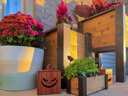 Premium Cedar Raised Garden Bed | Easy to Assemble | Durable Wooden Planter Box for Gardening | 4 Sizes