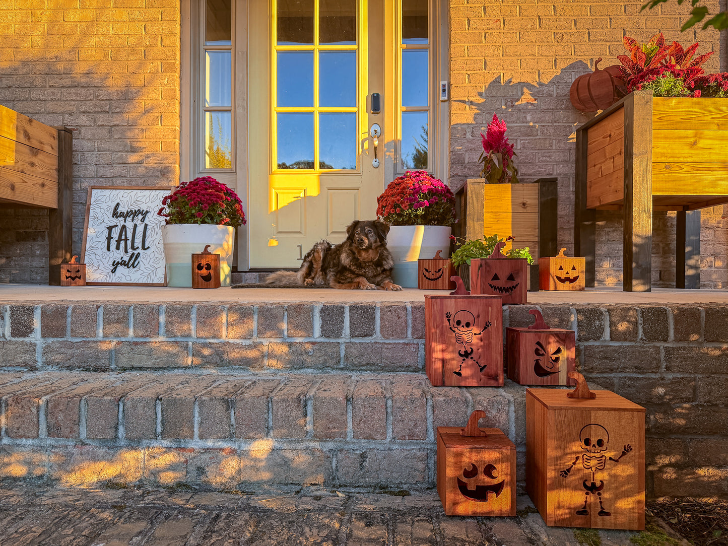 Mahogany and Cedar Jack-O-Lantern Boxes – Premium Indoor and Outdoor Halloween Decorations