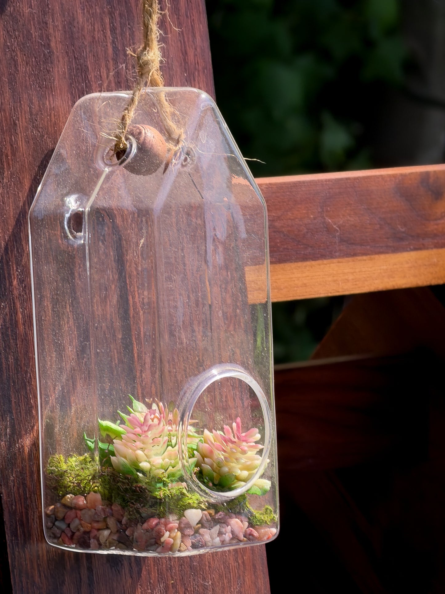 Wood Hanging Succulent Holder — In Stock, Ships Now
