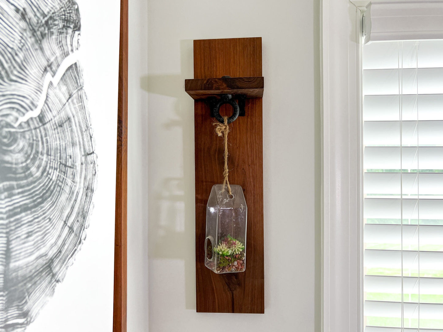 Indoor Hanging Planter  – Hanging Terrarium – Glass Planter Kit – Succulent Plant Holder – Housewarming Gift – 55 Colors – Terrarium Kit