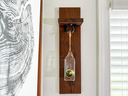 Indoor Hanging Planter  – Hanging Terrarium – Glass Planter Kit – Succulent Plant Holder – Housewarming Gift – 55 Colors – Terrarium Kit